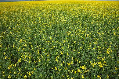 2D动作《常世之塔》正式版6月2日登陆Steam＆Switch